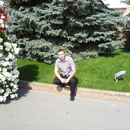 ���� �������, ������, 44 ���� - ��������� 8 ������� 2012