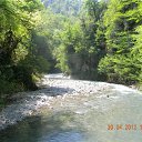 ���� �������, ����, 46 ��� - ��������� 1 ��� 2012 � ������ ����������� �������-�.����-�������� �������