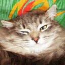 ��, �� �� �� ����?! �� ������� ���� ������ ����� ������!!!�