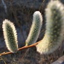 ���� ����������, �����-���������, 47 ��� - ��������� 1 ���� 2011 � ������ ������