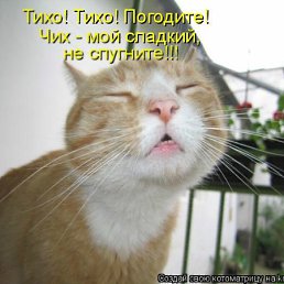 ���� ���������, ���������, 45 ��� - ��������� 26 ������ 2012