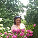 ���� Elena, ������ - ��������� 7 ���� 2013 � ������ ���� ����������
