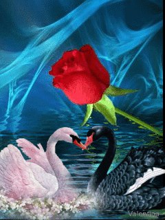 ���� �������, ������, 59 ��� - ��������� 30 ������ 2013