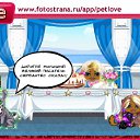 ���� =���=317, ������ - ��������� 28 ������� 2010 � ������ �PetLove�