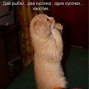 ���� ������, �������� - ��������� 14 ������� 2011 � ������ �����