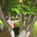 ���� �������, ��������, 37 ��� - ��������� 2 ������ 2009 � ������ ���� ����������