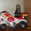 ���� ����, ����������, 50 ��� - ��������� 7 �������� 2012 � ������ �������