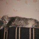 ���� Byaka, ���������, 41 ��� - ��������� 28 ������ 2010 � ������ ���� ������ ����� ������!!!�