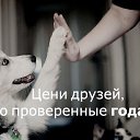 ���� ������, ���������, 32 ���� - ��������� 25 ���� 2012 � ������ �������
