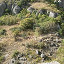 ���� C����� �� �������, �����-���������, 69 ��� - ��������� 27 ������ 2013 � ������ ���� ����������