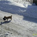 ���� �, ����-�����������, 46 ��� - ��������� 10 ����� 2011 � ������ ��������