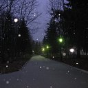 ���� ��������, ����, 53 ���� - ��������� 17 ���� 2009 � ������ ��������-����