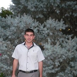 Arman, ������, 41 ���