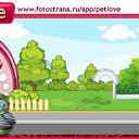  , , 28  -  27  2010   PetLove