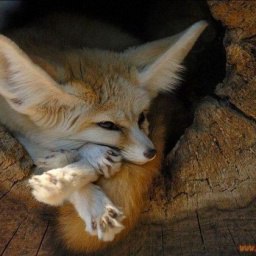 N, ������, 42 ����