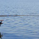 ���� Svann, ���������, 71 ��� - ��������� 17 ���� 2013 � ������ ��������� 2013�