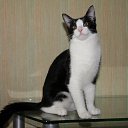 ���� ����, ������-��-����, 24 ���� - ��������� 28 ���� 2010 � ������ �������