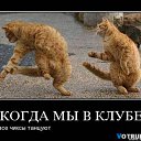 ���� &dagger;&dagger;&dagger; Deidara &dagger;&dagger;&dagger;, �����, 31 ��� - ��������� 21 ������� 2011