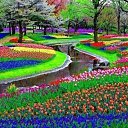 ���� Life Is Good, ������, 39 ��� - ��������� 23 ������ 2013