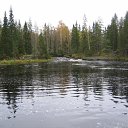  , -, 53  -  8  2009       