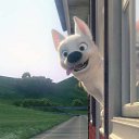 ���� "@����", �����-���������, 25 ��� - ��������� 2 ���� 2010 � ������ �����һ