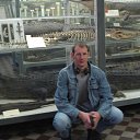  Max, -, 44  -  2  2013    