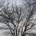  ok, --, 44  -  7  2010   