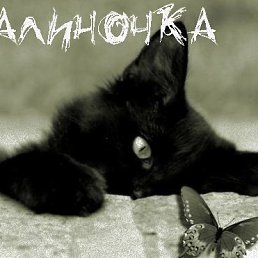 �������, ���������, 39 ���