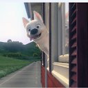 ��� �������� ����� �� ������� ������!!!!!!!!!!!!!!!!!!!!!!!!!!!!!!!!!!!!!!!!!!!!!!!!!!!�