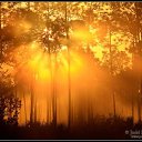 ���� ������, ��������� - ��������� 2 ��� 2010 � ������ ��������