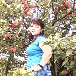 ���� �������, ������������, 48 ��� - ��������� 2 �������� 2012