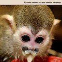 ���� ���������, ��������, 27 ��� - ��������� 17 ������ 2009