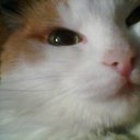 ���� �����, ������������, 38 ��� - ��������� 4 ������� 2012 � ������ ���� ��������