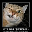 ���� ������������������������������������������������������������������, ��������, 39 ��� - ��������� 2 ���� 2010 � ������ ����ݻ