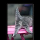  , --, 39  -  26  2012