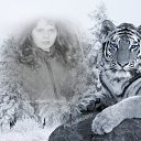 ���� �������, ����������, 47 ��� - ��������� 31 ������� 2011 � ������ ������ ��