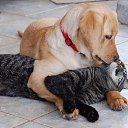 ���� �����, ������, 45 ��� - ��������� 13 ������� 2012 � ������ �������