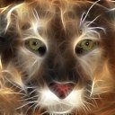  , , 43  -  15  2009   Digital Art Wallpapers