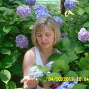 ���� �����, �������, 51 ��� - ��������� 8 ���� 2012 � ������ ���� ����������