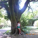 ���� �����, ������-��-����, 59 ��� - ��������� 15 �������� 2012 � ������ ���� ����������