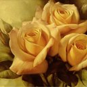  Mariam, , 52  -  5  2011   krasnaya poza