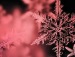     - http://vkontakte.ru/app2175066?from_id=1&loc=4ec6d178bbc6939e18bfe02e