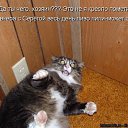 ���� ������, ������������, 51 ��� - ��������� 13 ������ 2010 � ������ ������� �������� �� ����..�