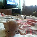 ���� �������, ���������� ����� - ��������� 5 ������ 2013 � ������ �������