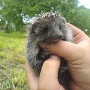 ������. �� ������� �������