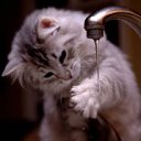 ���� Ihar., �����, 53 ���� - ��������� 18 ��� 2012 � ������ �������