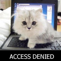 Access_denied, 