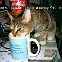 ���� M@����@, ������, 28 ��� - ��������� 15 ������� 2010 � ������ ��������