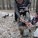 ���� ���, ����������, 61 ��� - ��������� 4 ������ 2012 � ������ ����� 04 11 2012�