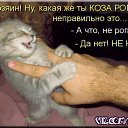 ���� ������, �����, 68 ��� - ��������� 28 ���� 2013 � ������ ���� ����������